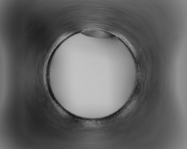 X0000086760901200705111712