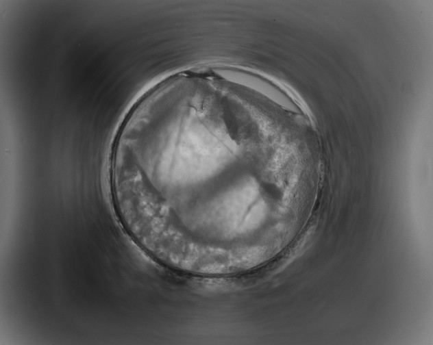 X0000086760903200705111712