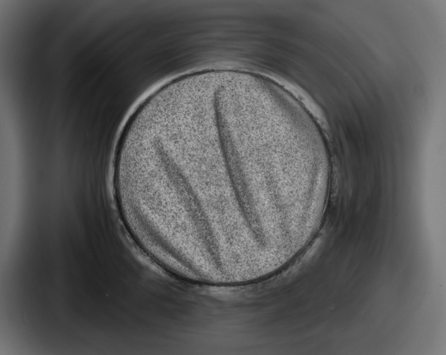 X0000086760904200705111712