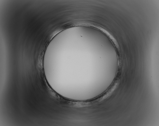 X0000086760905200705111712