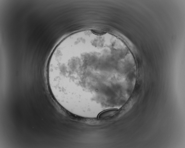 X0000086760907200705111712