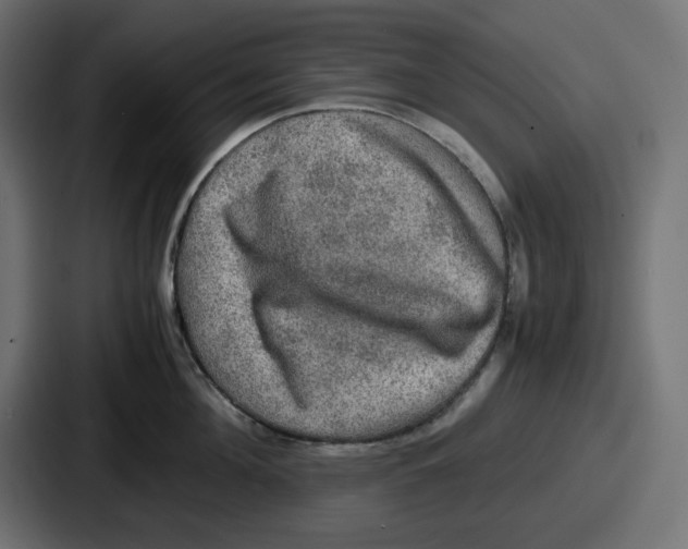 X0000086760908200705111712