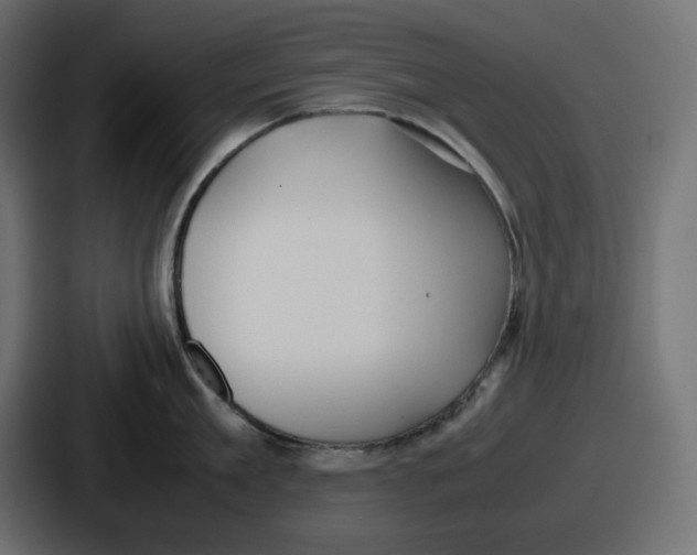 X0000086760909200705111712