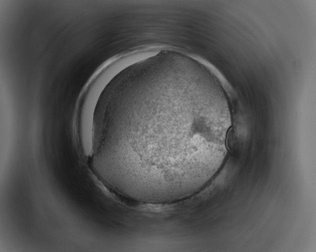 X0000086760910200705111712