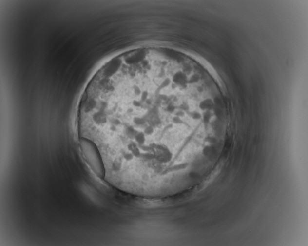 X0000086760911200705111712