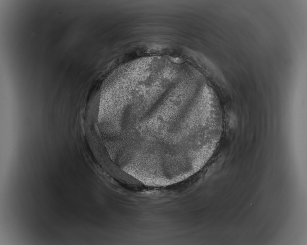 X0000086760914200705111712