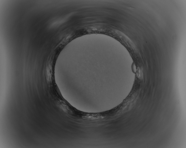 X0000086760915200705111712