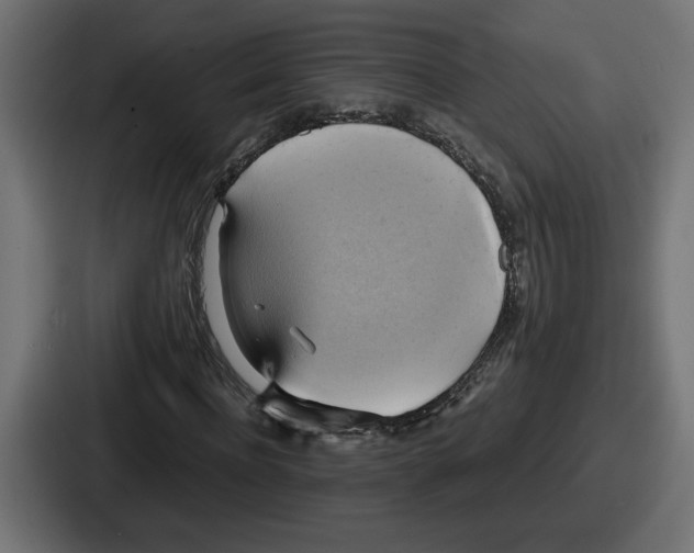 X0000086760916200705111712