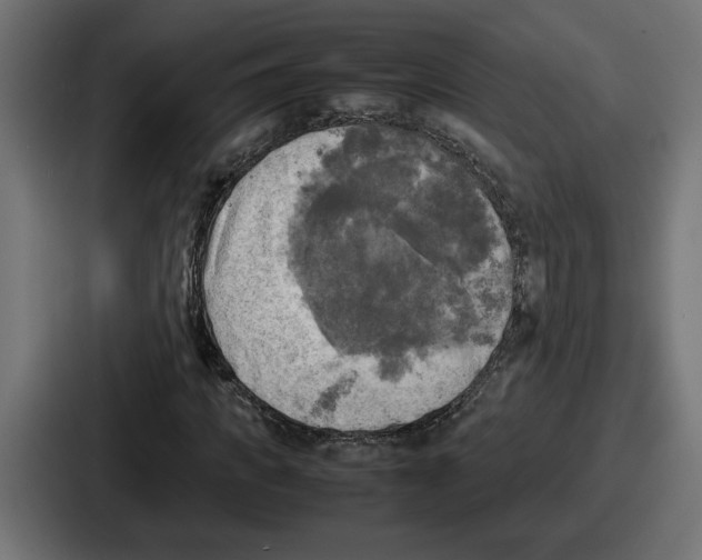 X0000086760917200705111712