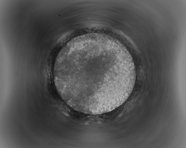 X0000086760918200705111712