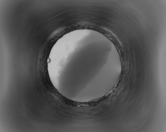 X0000086760919200705111712