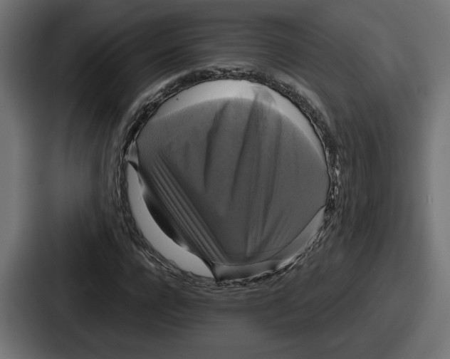 X0000086760920200705111712