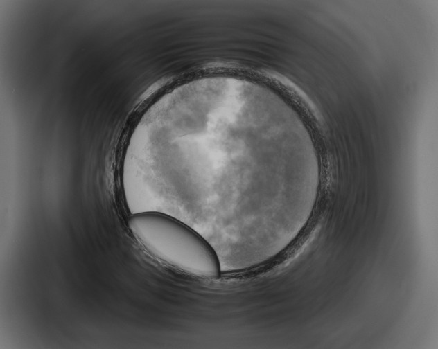 X0000086760921200705111712