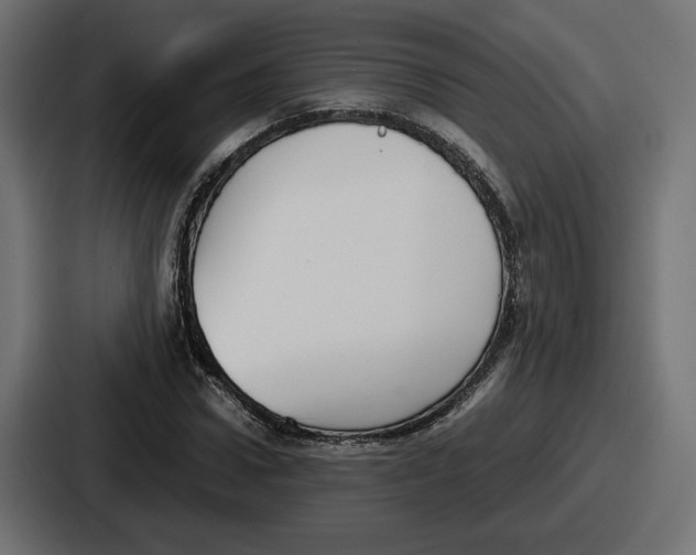 X0000086760922200705111712