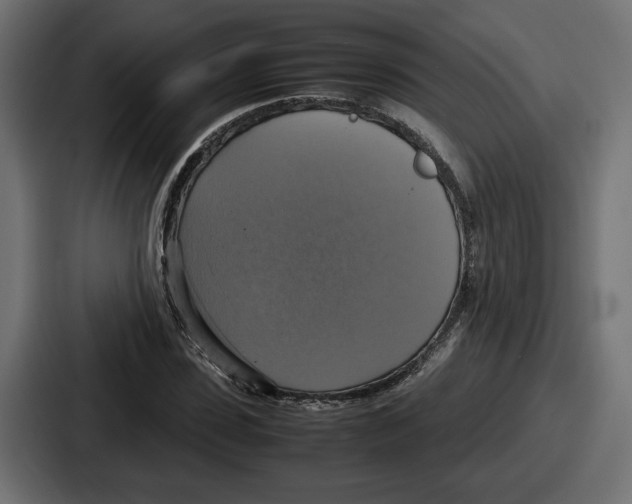 X0000086760923200705111712