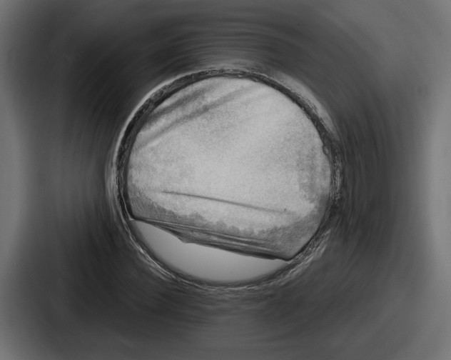 X0000086760924200705111712