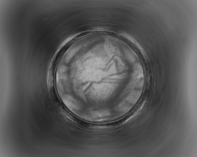 X0000086760925200705111712