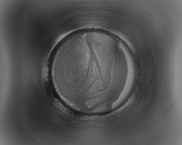 X0000086760926200705111712