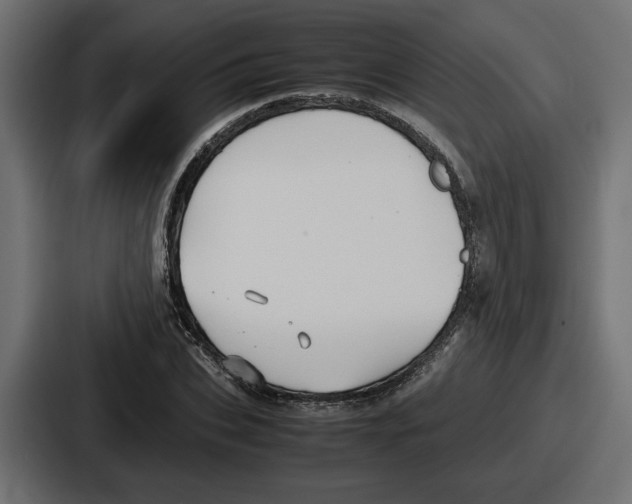 X0000086760927200705111712