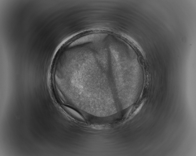 X0000086760928200705111712