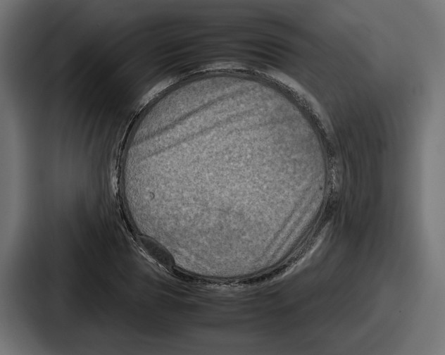 X0000086760929200705111712