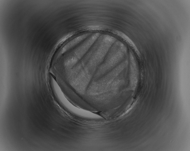 X0000086760930200705111712