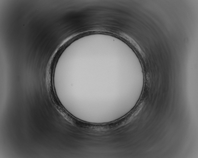 X0000086760931200705111712