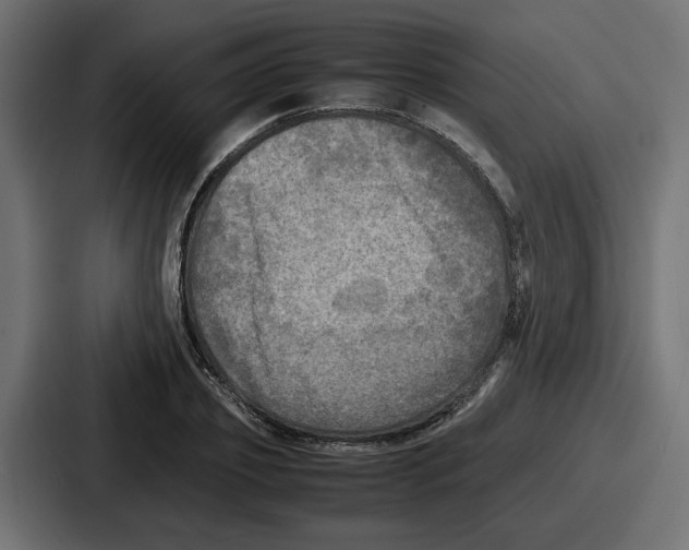 X0000086760933200705111712