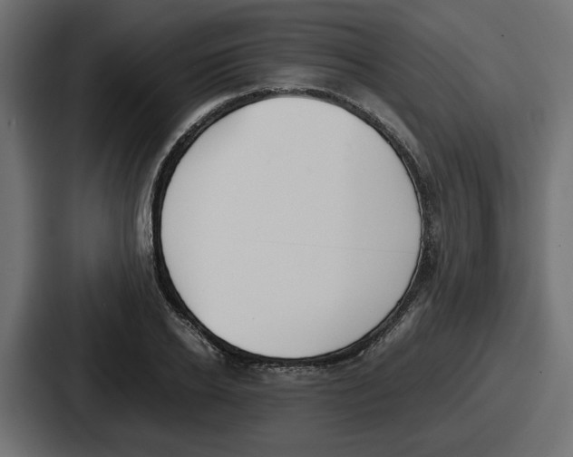 X0000086760934200705111712