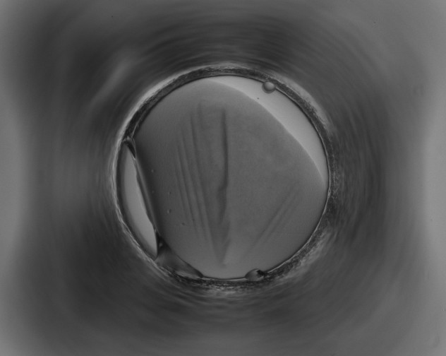 X0000086760935200705111712