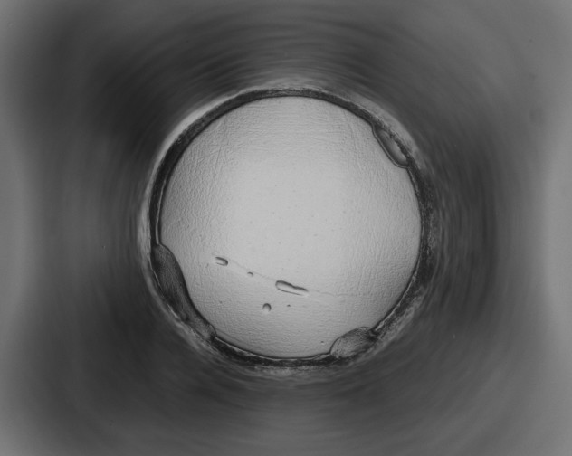 X0000086760936200705111712