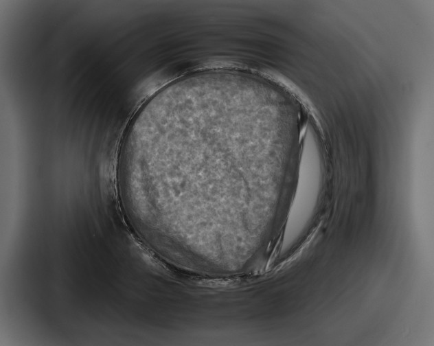 X0000086760937200705111712