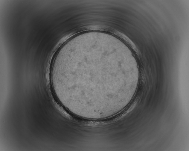 X0000086760938200705111712