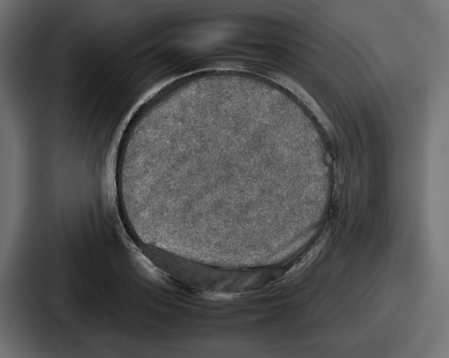 X0000086760939200705111712