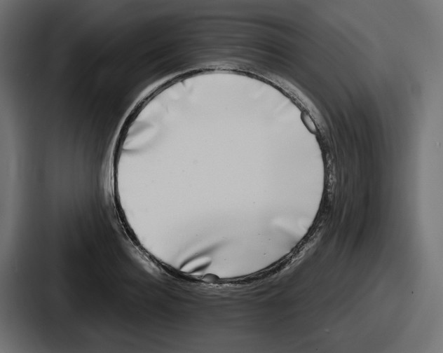 X0000086760940200705111712