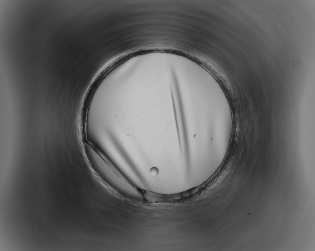 X0000086760942200705111712