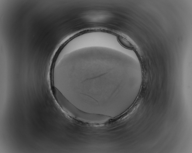 X0000086760943200705111712