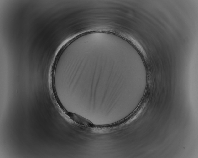 X0000086760944200705111712