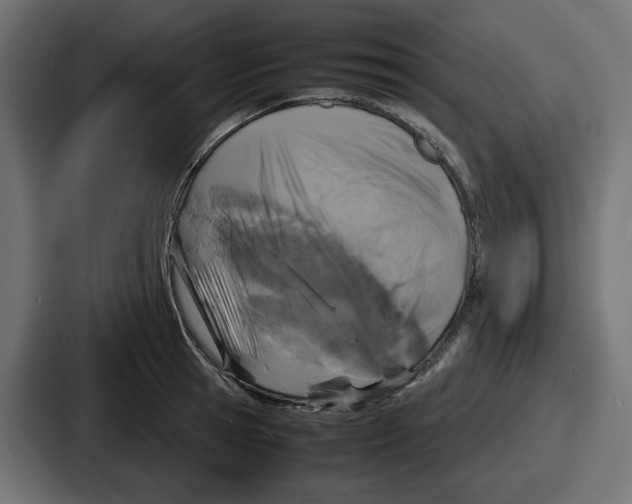 X0000086760945200705111712