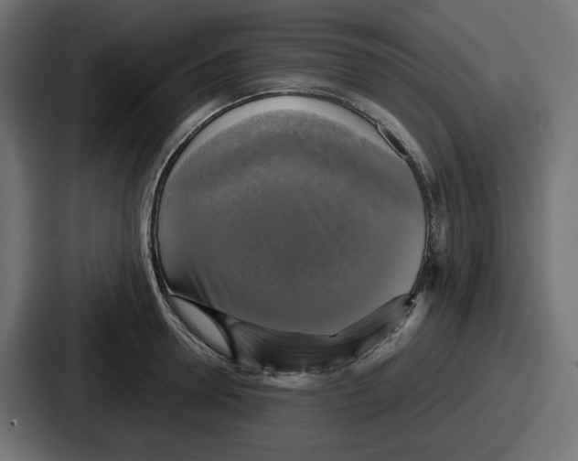 X0000086760946200705111712