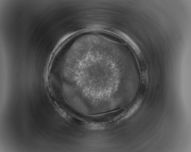 X0000086760948200705111712