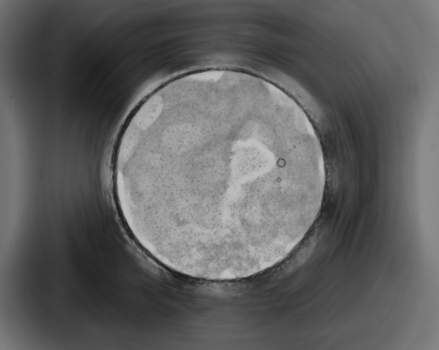 X0000086760950200705111712