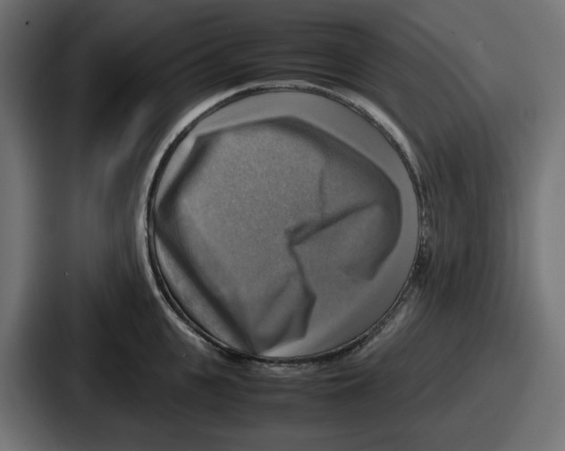 X0000086760951200705111712