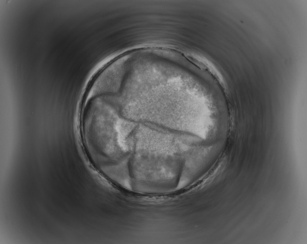 X0000086760952200705111712