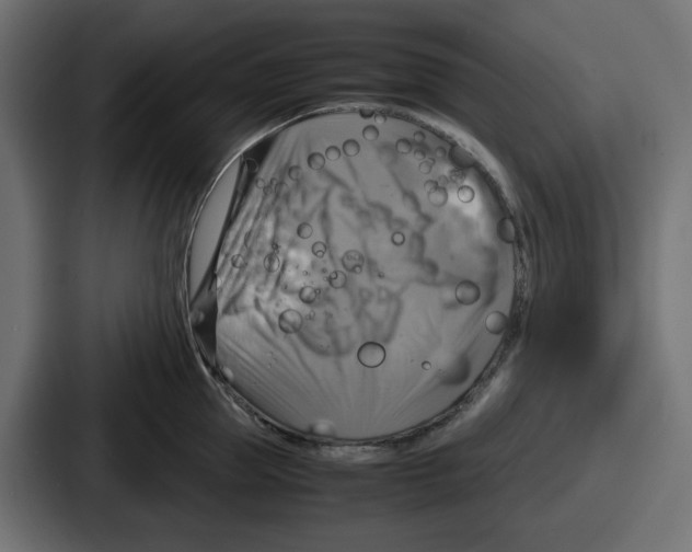 X0000086760953200705111712