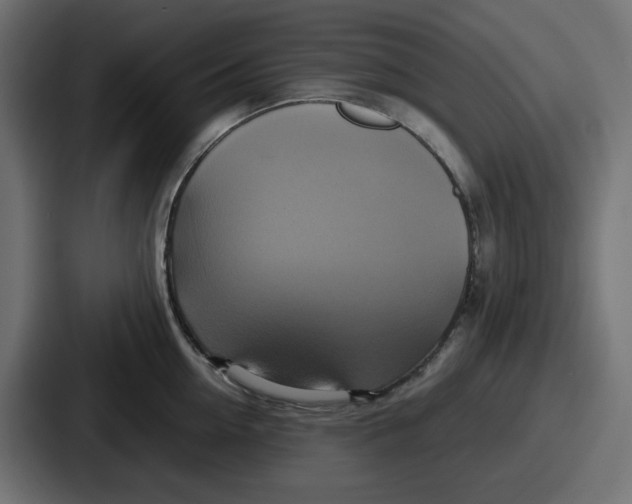 X0000086760954200705111712