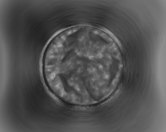 X0000086760955200705111712