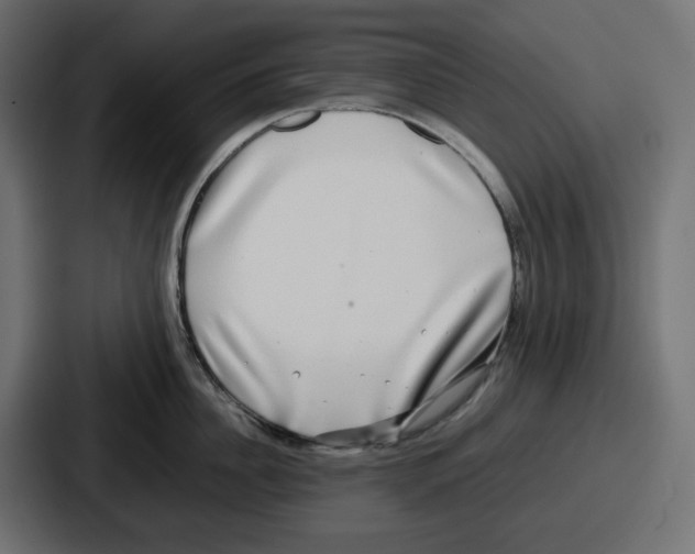 X0000086760956200705111712