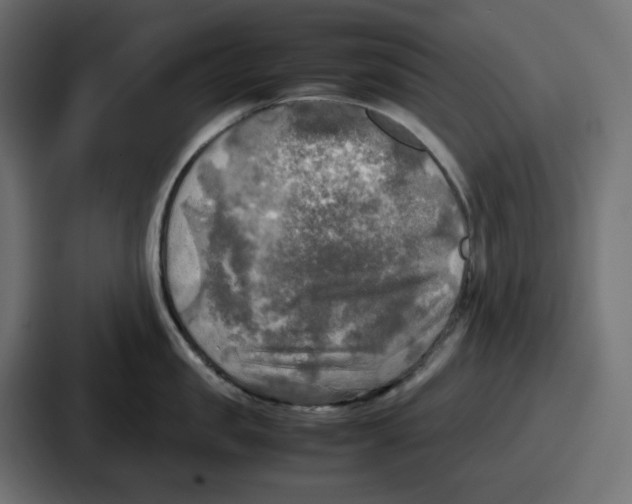 X0000086760957200705111712