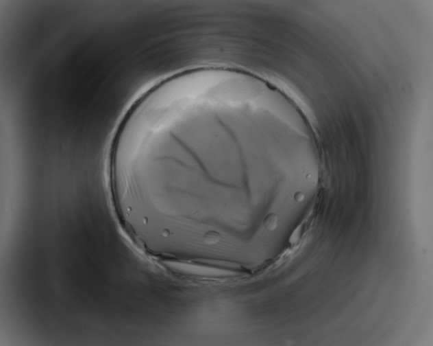 X0000086760958200705111712